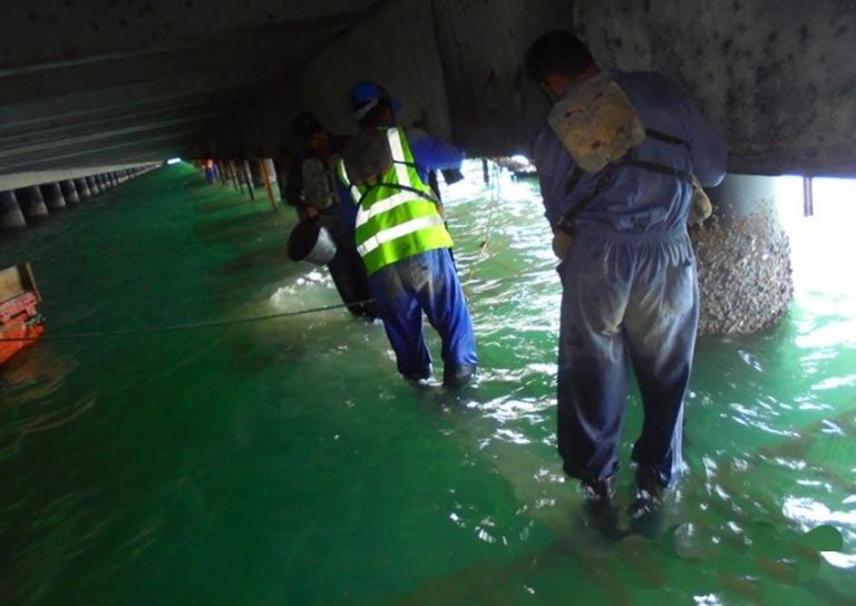 Workers in safety gear, including high-visibility vests and harnesses, stand in knee-deep water under a bridge or pier. They appear to be performing maintenance or inspection tasks, using ropes and tools while navigating the submerged structure.