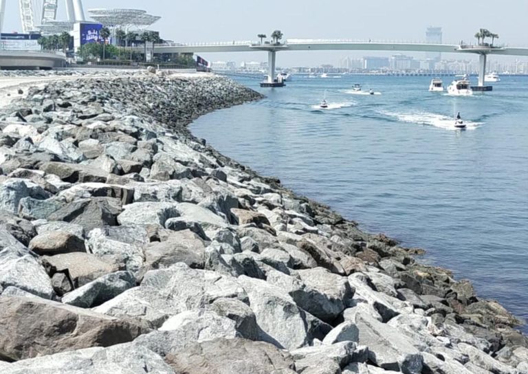 A rocky shoreline next to calm ocean water with several small boats and jet skis in motion. In the background, there is a tall, modern bridge with pedestrian paths and a towering Ferris wheel. The distant cityscape is visible under a clear, blue sky.
